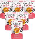 Schesir Soup Adult Salmon&Pumpkin in Broth Karma z łososiem i marchewką dla kota 12x40g PAKIET