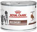 Royal Canin VET Recovery Karma dla psa oraz kota 195g