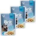 Brit Premium with Chicken Fillets for Adult Cats Karma z kurczakiem w sosie dla kota 12x85g PAKIET