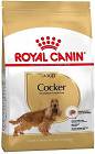 Royal Canin Cocker Adult Karma dla psa 12kg