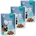 Brit Premium with Beef Fillets for Adult Cats Karma z wołowiną w sosie dla kota 12x85g PAKIET