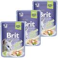 Brit Premium with Trout Fillets for Adult Cats Karma z pstrągiem w galaretce dla kota 12x85g PAKIET