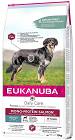 Eukanuba Daily Care Mono-Protein Salmon Karma z łososiem dla psa 2x12kg TANI ZESTAW