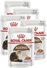 Royal Canin CAT Ageing+12 Karma w galaretce dla kota saszetka 12x85g PAKIET