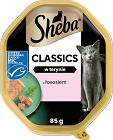 Sheba Classics Karma z łososiem w pasztecie dla kota 85g