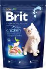 Brit Premium Cat Kitten Chicken Karma z kurczakiem dla kociąt 1.5kg