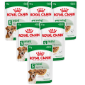 Royal Canin Mini Ageing 8+ Karma dla psa saszetka 12x85g PAKIET