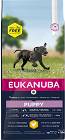 Eukanuba Puppy Large Karma dla szczeniaka 15kg+3kg GRATIS