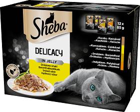 Sheba Delicacy in Jelly Kolekcja drobiowych smaków Karma w galaretce dla kota 12x85g
