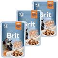 Brit Premium with Turkey Fillets for Adult Cats Karma z indykiem w sosie dla kota 12x85g PAKIET