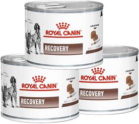 Royal Canin VET Recovery Karma dla psa oraz kota 12x195g PAKIET