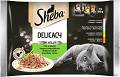 Sheba Delicacy in Jelly Kolekcja smaków Karma w galaretce dla kota 4x85g