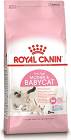 Royal Canin BabyCat Karma dla kociąt 400g