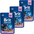 Brit Premium Cat with White Fish Chunks for Kitten Karma z rybą dla kociąt 12x100g PAKIET