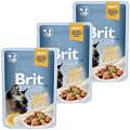 Brit Premium with Tuna Fillets for Adult Cats Karma z tuńczykiem w sosie dla kota 12x85g PAKIET