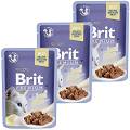 Brit Premium with Beef Fillets for Adult Cats Karma z wołowiną w galaretce dla kota 12x85g PAKIET