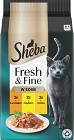 Sheba Fresh&Fine Karma z kurczakiem, indykiem i kaczką w sosie dla kota 6x50g