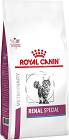 Royal Canin VET CAT Renal Special Karma dla kota 2kg