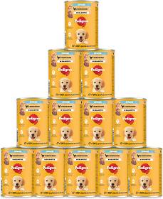 Pedigree Junior Karma z kurczakiem w galaretce dla szczeniaka 24x400g PAKIET