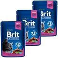 Brit Premium Cat with Chicken&Turkey Karma z kurczakiem i indykiem dla kota 12x100g PAKIET