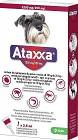 KRKA Ataxxa Krople na kleszcze i pchły dla psa 10-25kg (1 pipeta 2.5ml)