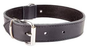 Dingo Obroża skórzana podszyta filcem dla psa 41cm kolor czarny