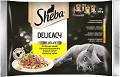 Sheba Delicacy in Jelly Kolekcja smaków drobiowych Karma w galaretce dla kota 4x85g