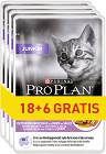Pro Plan Cat Junior Karma z indykiem dla kociąt 24x85g PAKIET (18+6 GRATIS)
