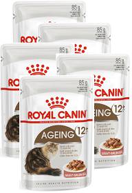 Royal Canin CAT Ageing+12 Karma w sosie dla kota saszetka 12x85g PAKIET