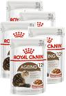 Royal Canin CAT Ageing+12 Karma w sosie dla kota saszetka 12x85g PAKIET