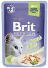 Brit Premium with Trout Fillets for Adult Cats Karma z pstrągiem w galaretce dla kota 85g