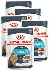 Royal Canin CAT Urinary Care Karma w sosie dla kota 12x85g PAKIET