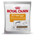 Royal Canin Przysmak ENERGY dla psa saszetka op. 50g