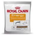 Royal Canin Przysmak ENERGY dla psa saszetka op. 50g