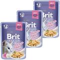 Brit Premium with Chicken Fillets for Adult Cats Karma z kurczakiem w galaretce dla kota 12x85g PAKIET