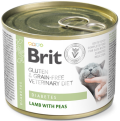 Brit Veterinary Diet Diabetes Lamb&Pea Karma z jagnięciną dla kota 200g