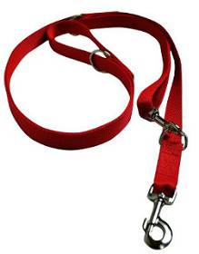 Chaba Smycz taśma regulowana dla psa rozm. 20mm/260cm kolor czerwony