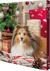 Trixie Kalendarz adwentowy świąteczny z upominkami dla psa 9268