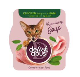 Delickcious Chicken Soup with Ham Karma z kurczakiem dla kota 80g