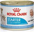 Royal Canin Mini Starter Mousse Karma dla szczeniaka 195g