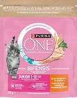 Purina ONE Cat Junior Karma z kurczakiem dla kociąt 750g
