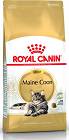 Royal Canin CAT Maine Coon Karma dla kota 4kg