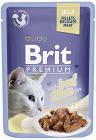 Brit Premium with Beef Fillets for Adult Cats Karma z wołowiną w galaretce dla kota 85g