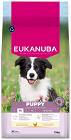 Eukanuba Puppy Medium Karma z kurczakiem i indykiem dla szczeniaka 15kg