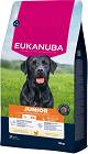 Eukanuba Pies Junior Large/Extra Large Karma z kurczakiem 15kg