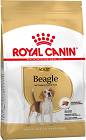 Royal Canin Beagle Adult Karma dla psa 12kg