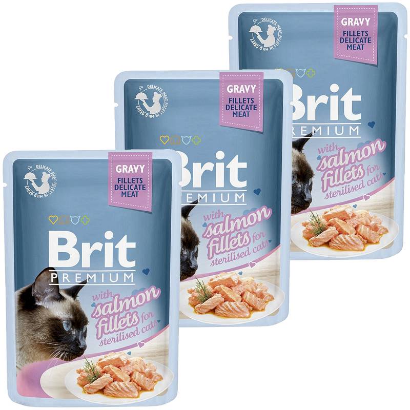 Brit 2024 premium salmon