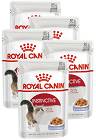 Royal Canin CAT Instinctive Karma w galaretce dla kota saszetka 12x85g PAKIET