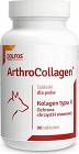 Dolfos ArthroCollagen dla psa Suplement diety 90 tab.