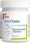 Dolvit Calm dla psa i kota Suplement diety 30 tab.